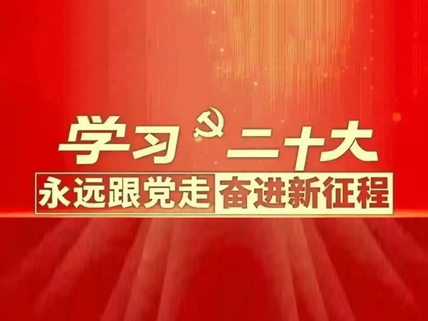 医院党建｜锦州市中心医院各党总支 党支部深入学习贯彻党的二十大精神