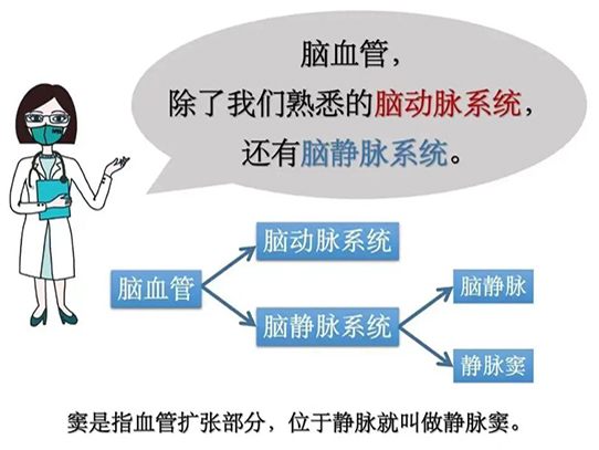优势学科 | 不明原因头晕头痛 视力下降 警惕脑血管病特殊类型 颅内静脉窦血栓形成（CVST）