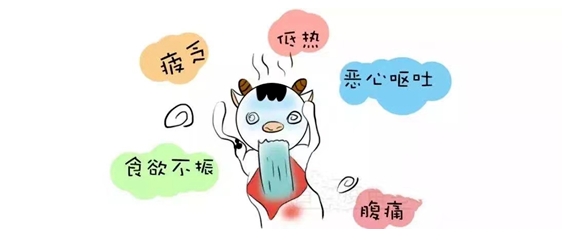 健康科普 |科学预防 远离甲肝