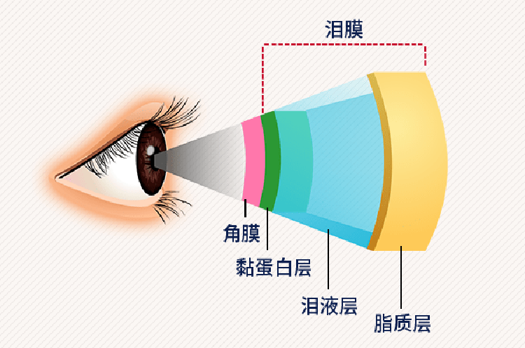 健康科普|干眼不是“小毛病”！眼科专家教您科学“破局”
